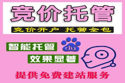 揭秘SEM推广代运营公司的成功之路